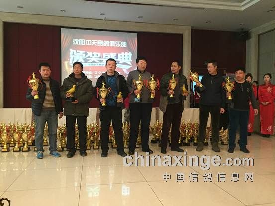 沈阳中天赛鸽俱乐部资讯，探索自然美景之旅，寻找内心平静之旅